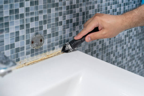 Best Certified Mold Removal  in North Aurora, IL