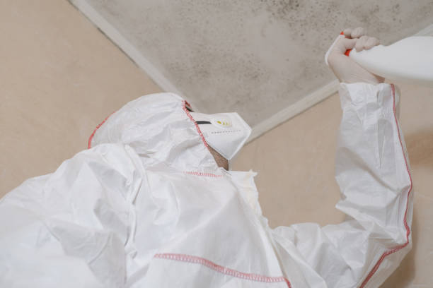 Best Mold Remediation  in North Aurora, IL