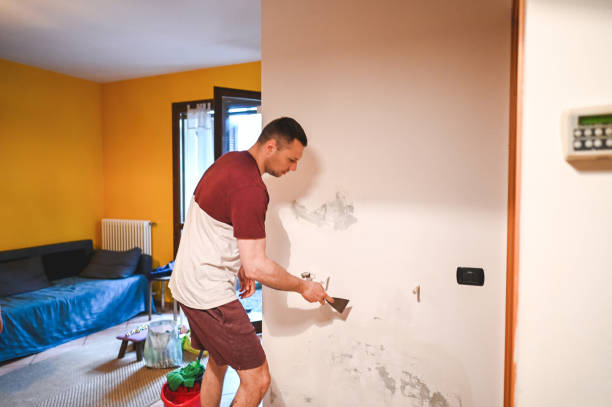 Professional Mold Removal in North Aurora, IL